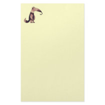 Anteater