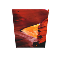 Antelope Canvas 13-21 Canvas Print