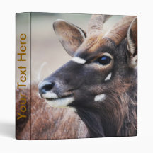 Antelope close up binder