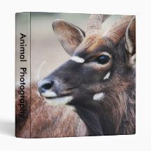 Antelope close up binders