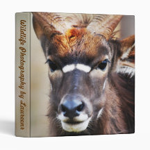 Antelope close up vinyl binder