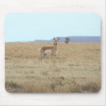 Antelope Horizon Use Pad