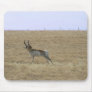 Antelope in Flight Mouse Mats