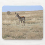 Antelope in Profile Mouse Mat