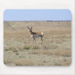 Antelope Landscape Mouse Mats