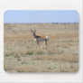 Antelope Landscape Mouse Mats