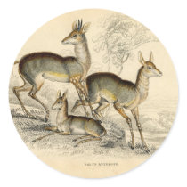 Antelope Stickers