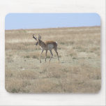 Antelope Walking Mouse Pad