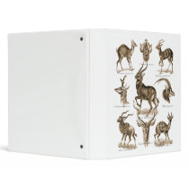Antelopes 3 Ring Binders
