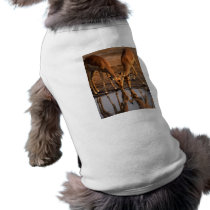 Antelopes Drinking Pet T-shirt
