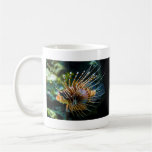 Antennata Lionfish Pterois antennata Mugs