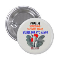 Anthony Weiner for NYC Mayor in 2013 Pins