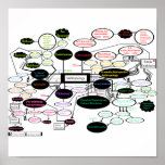Anthropology Map
