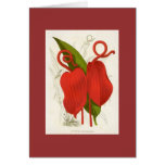 Anthurium scherzerianum card