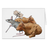 Anti-Bullying: Bulls, Mouse: Bullying NOT Cool Cards