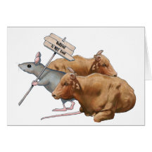 Anti-Bullying: Bulls, Mouse: Bullying NOT Cool Cards