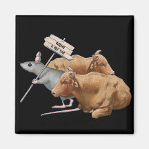 Anti-Bullying: Bulls, Mouse: Bullying NOT Cool Magnet