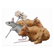 Anti-Bullying: Bulls, Mouse: Bullying NOT Cool Post Card
