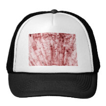 anti matter trucker hats