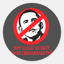 Anti-Obama - Not your Obamanation Round Sticker