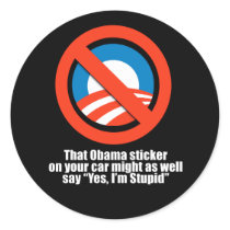 Anti-Obama - that obama sticker might as well say 