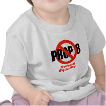 ANTI PROP 8 - Defend Equality T-shirts