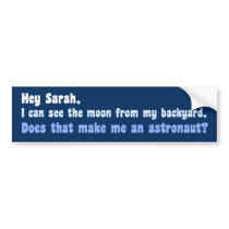 Anti Sarah Palin Bumper Sticker