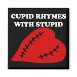 Anti-Valentine's Day: Cupid rhymes with stupid Magnet