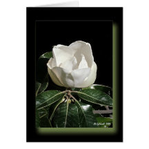 Anticipation Greeting Card