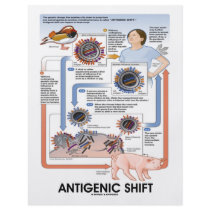 Antigenic Shift (Virus Transmission) Flyer