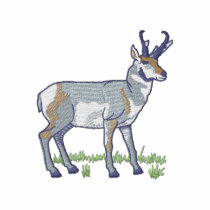 Antilope chemises brodées