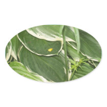 Antioch Hosta Leaves on a Sunny Day Oval Sticker