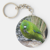Antipodes Island Parakeet Key Chains