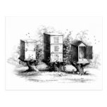 Antique Beekeeping Beehives Post Cards