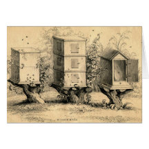 Antique Beekeeping Beehives Print Greeting Card
