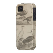 Antique Bird Engraving Vibe iPhone 4 Cases