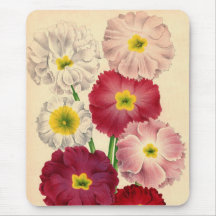 Antique Botanical Primroses Print Mouse Pad