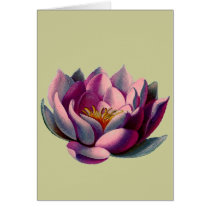 Antique Botanicals Pink Water Lily Lotus Greeting Card