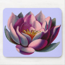 Antique Botanicals Pink Water Lily Lotus Mousepads