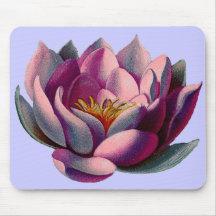 Antique Botanicals Pink Water Lily Lotus Mousepads