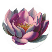 Antique Botanicals Pink Water Lily Lotus Stickers