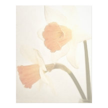 Antique Daffodils Customized Letterhead