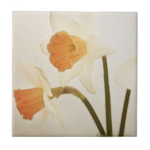 Antique Daffodils Tiles