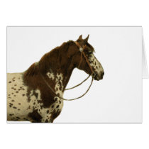 Antique Horses - Appaloosa