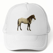 Antique Horses - Appaloosa