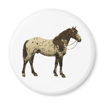Antique Horses - Appaloosa
