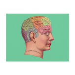 antique Mind Brain Map Phrenology head Postcard