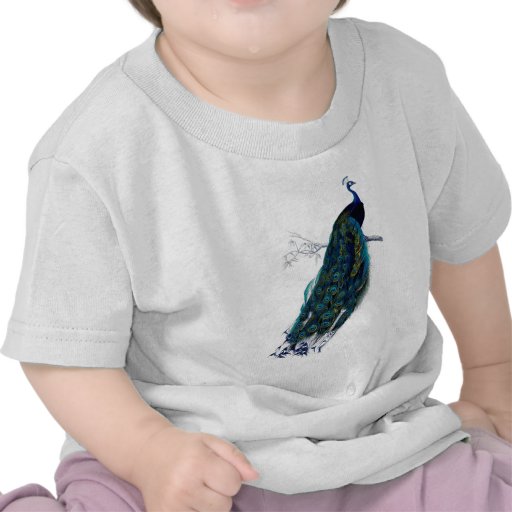 Antique Natural History Print Peacock T Shirts
