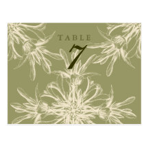 Antique Olive Floral Wedding Table Card Postcards