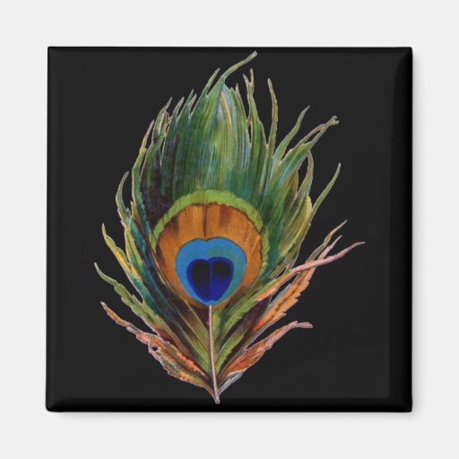 Antique Peacock Feather Magnet